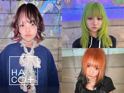 ハコ プラス(HACO+)の写真