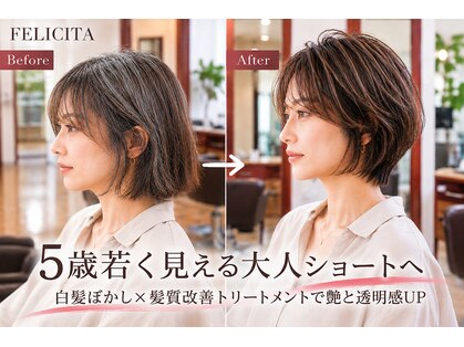 フェリシータBOBの写真