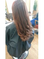 フィカス(Ficus)&nbsp;ロング