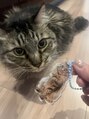 キララ(kirara) さだはる9歳