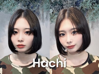 ハチ(Hachi)の写真