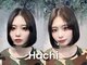 ハチ(Hachi)の写真