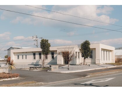 ドール(DOLL)の写真