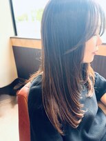 ピクシーボブ(Pixie Bob) ロングレイヤー