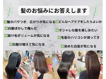 hair mode BEBOP【ヘアモード　ビバップ】