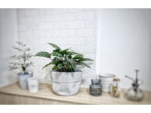 ヘアーココット(hair cocotto)の雰囲気（cocotto）