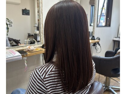 クローバーの写真