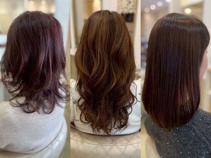 ラポート(Rapport)の写真