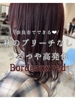 エミュ(emu.)&nbsp;【おすすめアキイロ】ボルドーレッド