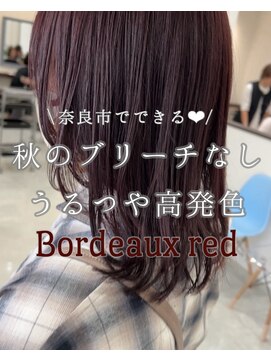 エミュ(emu.) 【おすすめアキイロ】ボルドーレッド