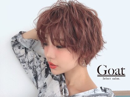 ゴート(Goat)の写真