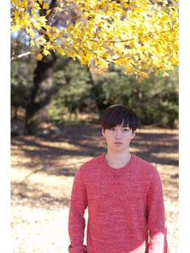 エッカ(ekka) SITOショートスタイル