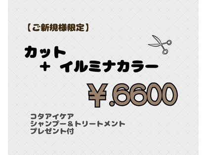 ポケット(pocket)の写真
