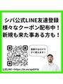 ビーハイブ ギフト(BeeHIVE GIFT)&nbsp;インスタshibafumihiroフォローキャンペーンもあります！