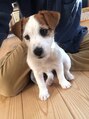 リトリート(retreat) 愛犬たまです。