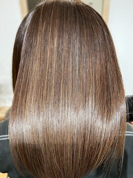 エルヴィタ(ELVITA) 『髪質改善メテオカラー』