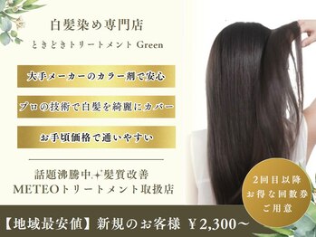 白髪染め専門店 ときどきトリートメント Green【グリーン】