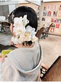 [ ヘアセット ]