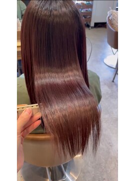 スペックホルダー(Spec Holder) アプリコットオレンジ髪質改善カシスブラウン 8.20