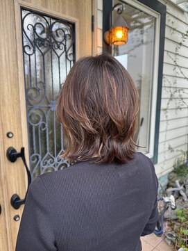 チョコレート(chocolate) ソフトウルフ