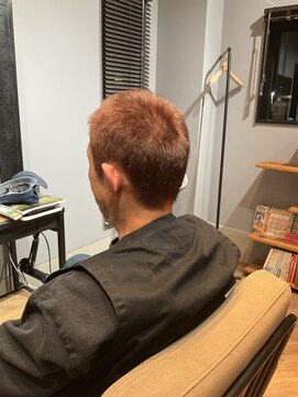 サトーワークショップ(SATO WORK SHOP) 茶ボウズ