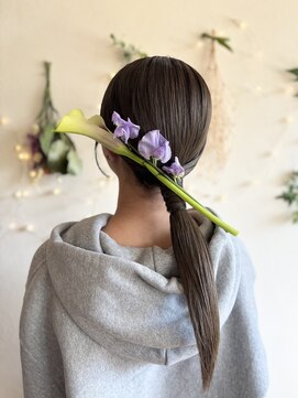 エース(ASCE) ローポニー