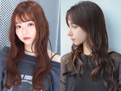 ヘイロートップ(Halo-top)の写真