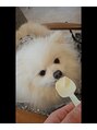 アールサロン アオヤマ(Rr SALON AOYAMA) ワンちゃん大好きです!是非連れてきてください!