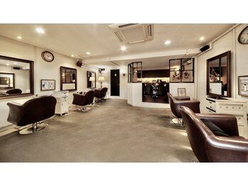 Steady【ステディー】