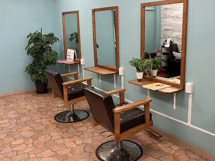 サン(SUN)の写真