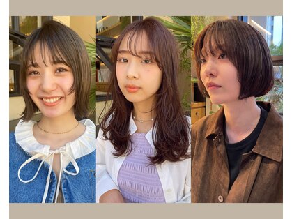 シェル(SHEL)の写真