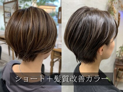 Oの写真