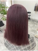 ピンクラベンダー