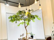 クオリム(Kualim)の雰囲気（大好きなインテリアと植物で店内をオシャレに！）