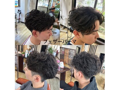 ハル(HARU)の写真