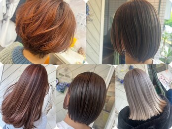 hair&eyelash salon BluBlu