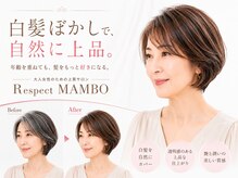 リスペクト マンボ(RESPECT MAMBO)の雰囲気（髪質改善トリートメント．白髪ボカシキャンペーン実施中【豊田】）