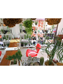 2人のハイキャリアスタイリストがもてなす隠れ家サロン◇カウンセリングをはじめ丁寧なサービスをご提供◎