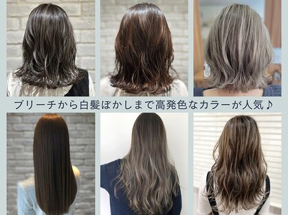 リビング(LiVing)の写真