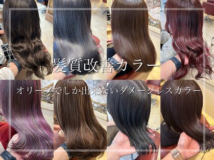 オリーブ ヘアー フィール(OLIVE hair feel)の写真