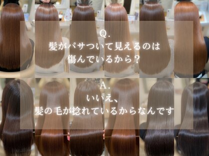 シーループユナイテッドアトリエ(C-LOOP UNITED ATELIER)の写真