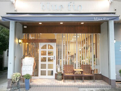 ブルーフィン(blue fin)の写真