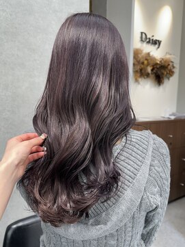 デイジー(Daisy) ラベンダー/ラベンダーグレー