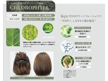 三島市初！！『髪質改善／韓国髪管理』