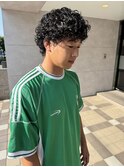 プードルパーマ