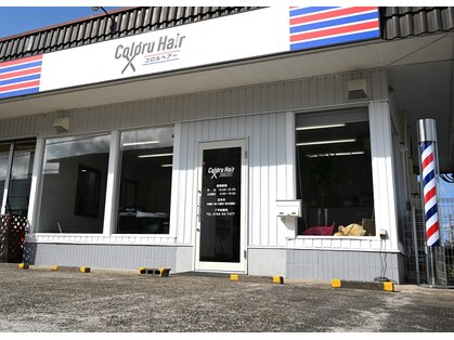 コロルヘアーの写真