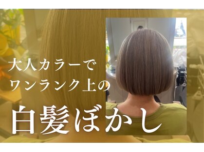 シェリール(Cherir)の写真