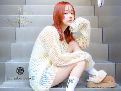 ガリカ 大名(Gallica)の写真