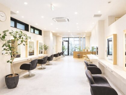 トリッカ 銀座(tricca)の写真