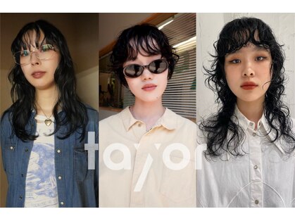 タヨル(tayor)の写真